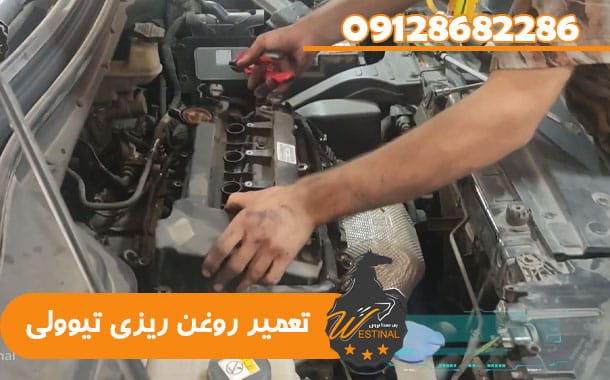 تعمیرگاه سانگ یانگ تیوولی - تعمیر روغن ریزی تیوولی
