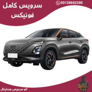 اتو سزویس فونیکس fx