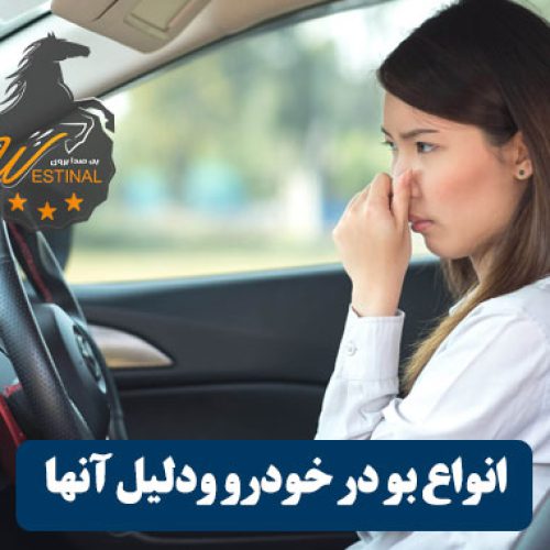 شاخص انواع بو در خودرو